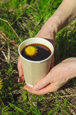 Yeşil çimlerin üzerinde el ele tutulan kağıt bir bardakta modaya uygun bitkisel karahindiba kahvesi. Sağlıklı yaşam tarzı, doğa, sürdürülebilir yaşam