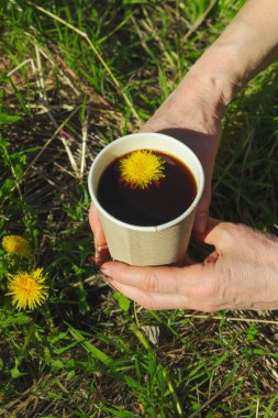 Yeşil çimlerin üzerinde el ele tutulan kağıt bir bardakta modaya uygun bitkisel karahindiba kahvesi. Sağlıklı yaşam tarzı, doğa, sürdürülebilir yaşam