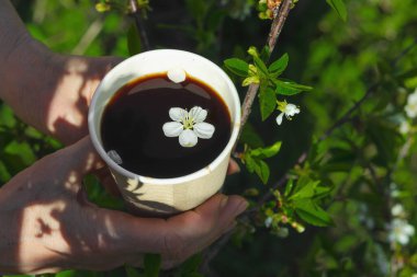 Kiraz çiçekli kağıt bardak kahve, açık havada tutulan yeşil arka planlı bir kadın eli. Eko yaşam tarzı, çiçek içecekleri, bahar estetiği.
