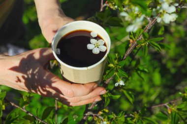 Kiraz çiçekli kağıt bardak kahve, açık havada tutulan yeşil arka planlı bir kadın eli. Eko yaşam tarzı, çiçek içecekleri, bahar estetiği.