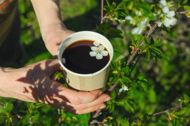 Kiraz çiçekli kağıt bardak kahve, açık havada tutulan yeşil arka planlı bir kadın eli. Eko yaşam tarzı, çiçek içecekleri, bahar estetiği.