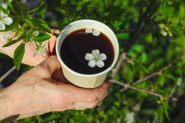 Kiraz çiçekli kağıt bardak kahve, açık havada tutulan yeşil arka planlı bir kadın eli. Eko yaşam tarzı, çiçek içecekleri, bahar estetiği.