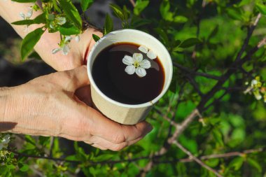 Kiraz çiçekli kağıt bardak kahve, açık havada tutulan yeşil arka planlı bir kadın eli. Eko yaşam tarzı, çiçek içecekleri, bahar estetiği.