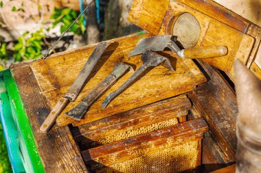 Geleneksel arıcılık araçları, sürdürülebilir arıcılık ve arı popülasyonlarını iklim değişikliği ve küresel ısınmadan koruma çabalarının altı çizili