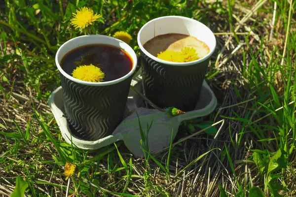 Ekolojik kağıt bardaklarda moda hindiba kahvesi, çiçek açan çayır arka planda. Sağlıklı yaşam tarzına, sürdürülebilir alışkanlıklara ve natürmort yaşam konseptine odaklanın.