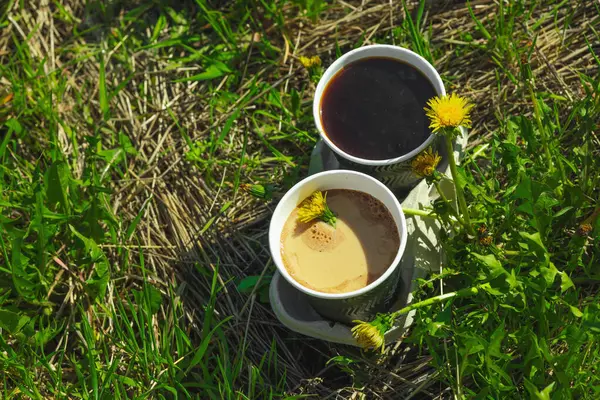 Ekolojik kağıt bardaklarda moda hindiba kahvesi, çiçek açan çayır arka planda. Sağlıklı yaşam tarzına, sürdürülebilir alışkanlıklara ve natürmort yaşam konseptine odaklanın.