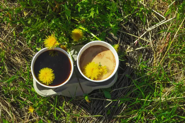 Ekolojik kağıt bardaklarda moda hindiba kahvesi, çiçek açan çayır arka planda. Sağlıklı yaşam tarzına, sürdürülebilir alışkanlıklara ve natürmort yaşam konseptine odaklanın.