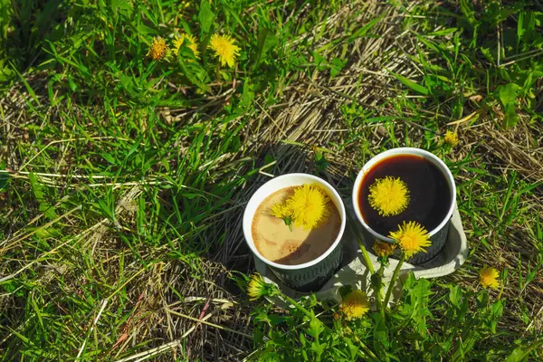 Ekolojik kağıt bardaklarda moda hindiba kahvesi, çiçek açan çayır arka planda. Sağlıklı yaşam tarzına, sürdürülebilir alışkanlıklara ve natürmort yaşam konseptine odaklanın.