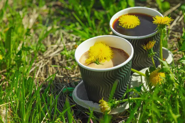 Ekolojik kağıt bardaklarda moda hindiba kahvesi, çiçek açan çayır arka planda. Sağlıklı yaşam tarzına, sürdürülebilir alışkanlıklara ve natürmort yaşam konseptine odaklanın.