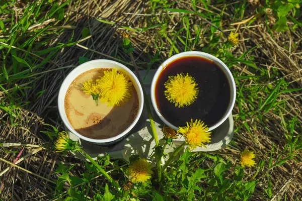 Ekolojik kağıt bardaklarda moda hindiba kahvesi, çiçek açan çayır arka planda. Sağlıklı yaşam tarzına, sürdürülebilir alışkanlıklara ve natürmort yaşam konseptine odaklanın.