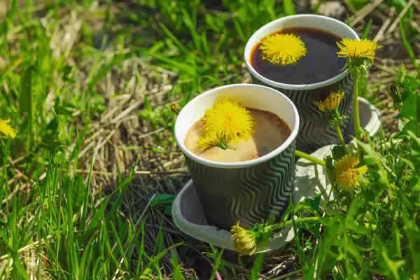 Ekolojik kağıt bardaklarda moda hindiba kahvesi, çiçek açan çayır arka planda. Sağlıklı yaşam tarzına, sürdürülebilir alışkanlıklara ve natürmort yaşam konseptine odaklanın.