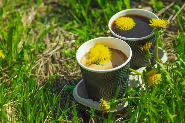 Ekolojik kağıt bardaklarda moda hindiba kahvesi, çiçek açan çayır arka planda. Sağlıklı yaşam tarzına, sürdürülebilir alışkanlıklara ve natürmort yaşam konseptine odaklanın.