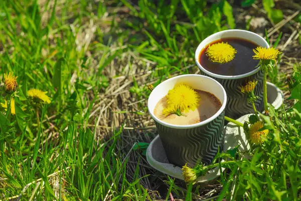 Ekolojik kağıt bardaklarda moda hindiba kahvesi, çiçek açan çayır arka planda. Sağlıklı yaşam tarzına, sürdürülebilir alışkanlıklara ve natürmort yaşam konseptine odaklanın.