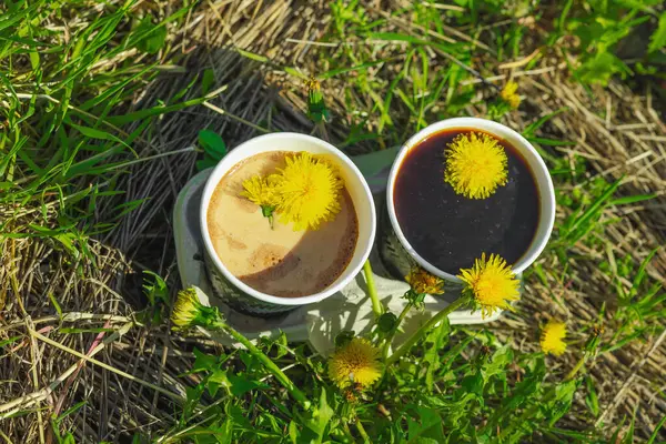 Ekolojik kağıt bardaklarda moda hindiba kahvesi, çiçek açan çayır arka planda. Sağlıklı yaşam tarzına, sürdürülebilir alışkanlıklara ve natürmort yaşam konseptine odaklanın.