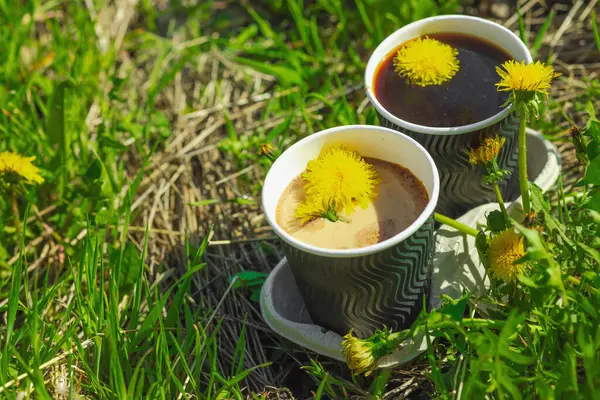 Ekolojik kağıt bardaklarda moda hindiba kahvesi, çiçek açan çayır arka planda. Sağlıklı yaşam tarzına, sürdürülebilir alışkanlıklara ve natürmort yaşam konseptine odaklanın.