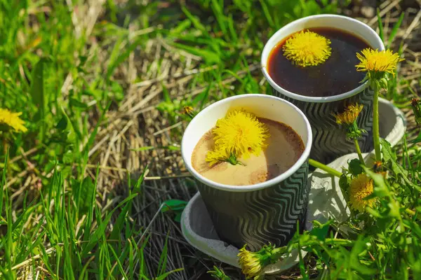 Ekolojik kağıt bardaklarda moda hindiba kahvesi, çiçek açan çayır arka planda. Sağlıklı yaşam tarzına, sürdürülebilir alışkanlıklara ve natürmort yaşam konseptine odaklanın.
