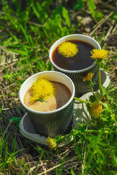 Ekolojik kağıt bardaklarda moda hindiba kahvesi, çiçek açan çayır arka planda. Sağlıklı yaşam tarzına, sürdürülebilir alışkanlıklara ve natürmort yaşam konseptine odaklanın.