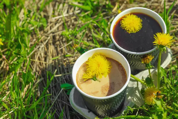 Ekolojik kağıt bardaklarda moda hindiba kahvesi, çiçek açan çayır arka planda. Sağlıklı yaşam tarzına, sürdürülebilir alışkanlıklara ve natürmort yaşam konseptine odaklanın.