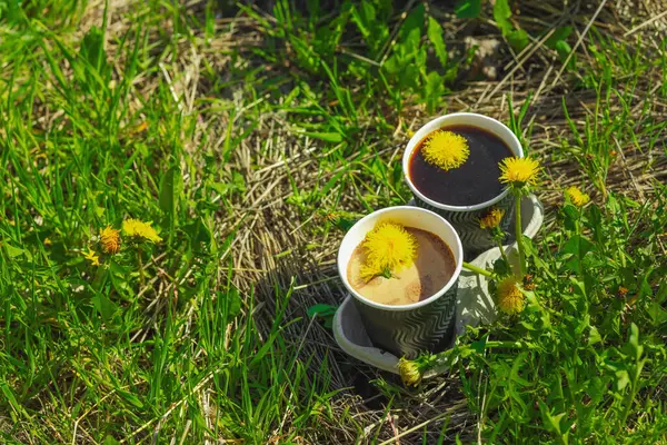 Ekolojik kağıt bardaklarda moda hindiba kahvesi, çiçek açan çayır arka planda. Sağlıklı yaşam tarzına, sürdürülebilir alışkanlıklara ve natürmort yaşam konseptine odaklanın.