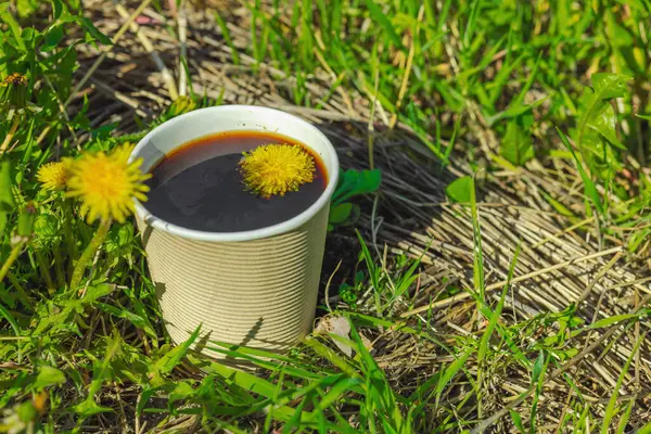 Ekolojik kağıt bardaklarda moda hindiba kahvesi, çiçek açan çayır arka planda. Sağlıklı yaşam tarzına, sürdürülebilir alışkanlıklara ve natürmort yaşam konseptine odaklanın.