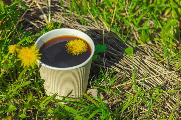 Ekolojik kağıt bardaklarda moda hindiba kahvesi, çiçek açan çayır arka planda. Sağlıklı yaşam tarzına, sürdürülebilir alışkanlıklara ve natürmort yaşam konseptine odaklanın.