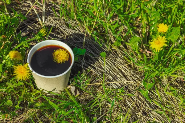 Ekolojik kağıt bardaklarda moda hindiba kahvesi, çiçek açan çayır arka planda. Sağlıklı yaşam tarzına, sürdürülebilir alışkanlıklara ve natürmort yaşam konseptine odaklanın.