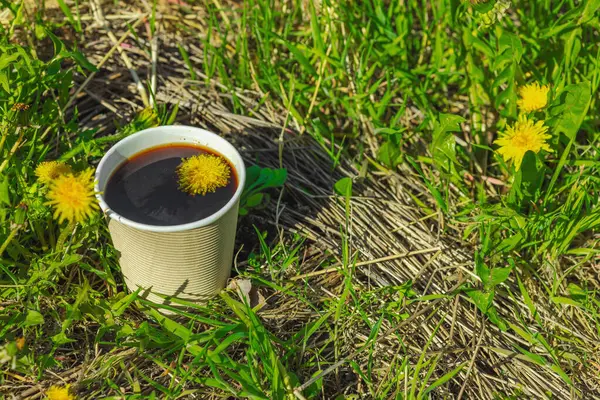 Ekolojik kağıt bardaklarda moda hindiba kahvesi, çiçek açan çayır arka planda. Sağlıklı yaşam tarzına, sürdürülebilir alışkanlıklara ve natürmort yaşam konseptine odaklanın.