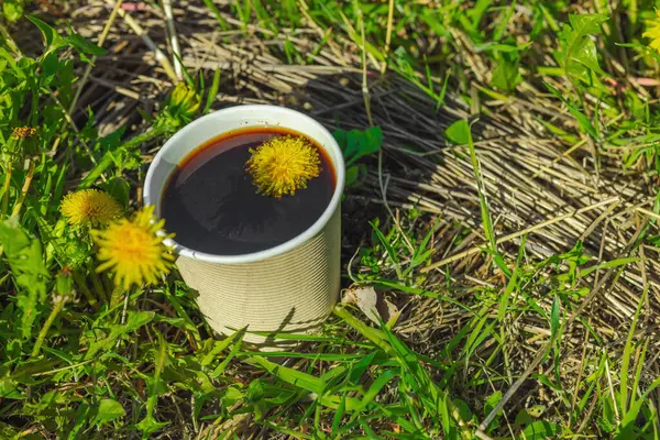 Ekolojik kağıt bardaklarda moda hindiba kahvesi, çiçek açan çayır arka planda. Sağlıklı yaşam tarzına, sürdürülebilir alışkanlıklara ve natürmort yaşam konseptine odaklanın.