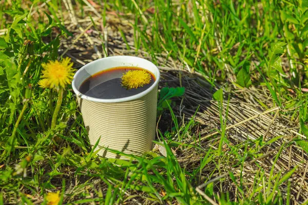 Ekolojik kağıt bardaklarda moda hindiba kahvesi, çiçek açan çayır arka planda. Sağlıklı yaşam tarzına, sürdürülebilir alışkanlıklara ve natürmort yaşam konseptine odaklanın.