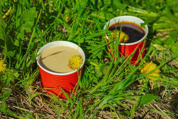 Ekolojik kağıt bardaklarda moda hindiba kahvesi, çiçek açan çayır arka planda. Sağlıklı yaşam tarzına, sürdürülebilir alışkanlıklara ve natürmort yaşam konseptine odaklanın.