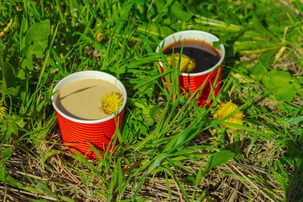 Ekolojik kağıt bardaklarda moda hindiba kahvesi, çiçek açan çayır arka planda. Sağlıklı yaşam tarzına, sürdürülebilir alışkanlıklara ve natürmort yaşam konseptine odaklanın.