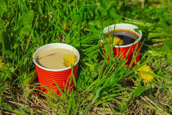 Ekolojik kağıt bardaklarda moda hindiba kahvesi, çiçek açan çayır arka planda. Sağlıklı yaşam tarzına, sürdürülebilir alışkanlıklara ve natürmort yaşam konseptine odaklanın.