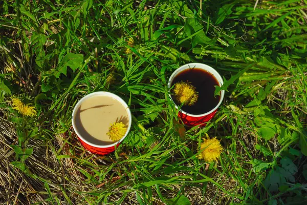 Ekolojik kağıt bardaklarda moda hindiba kahvesi, çiçek açan çayır arka planda. Sağlıklı yaşam tarzına, sürdürülebilir alışkanlıklara ve natürmort yaşam konseptine odaklanın.