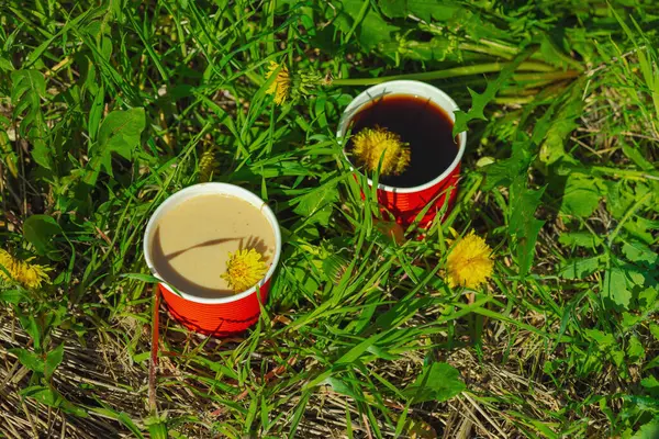 Ekolojik kağıt bardaklarda moda hindiba kahvesi, çiçek açan çayır arka planda. Sağlıklı yaşam tarzına, sürdürülebilir alışkanlıklara ve natürmort yaşam konseptine odaklanın.