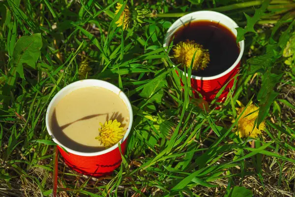 Ekolojik kağıt bardaklarda moda hindiba kahvesi, çiçek açan çayır arka planda. Sağlıklı yaşam tarzına, sürdürülebilir alışkanlıklara ve natürmort yaşam konseptine odaklanın.