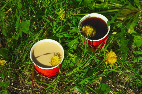 Ekolojik kağıt bardaklarda moda hindiba kahvesi, çiçek açan çayır arka planda. Sağlıklı yaşam tarzına, sürdürülebilir alışkanlıklara ve natürmort yaşam konseptine odaklanın.