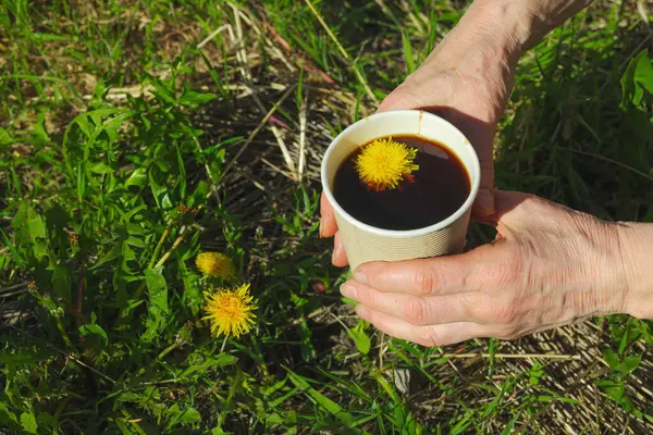 Yeşil çimlerin üzerinde el ele tutulan kağıt bir bardakta modaya uygun bitkisel karahindiba kahvesi. Sağlıklı yaşam tarzı, doğa, sürdürülebilir yaşam
