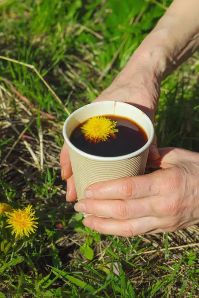 Yeşil çimlerin üzerinde el ele tutulan kağıt bir bardakta modaya uygun bitkisel karahindiba kahvesi. Sağlıklı yaşam tarzı, doğa, sürdürülebilir yaşam