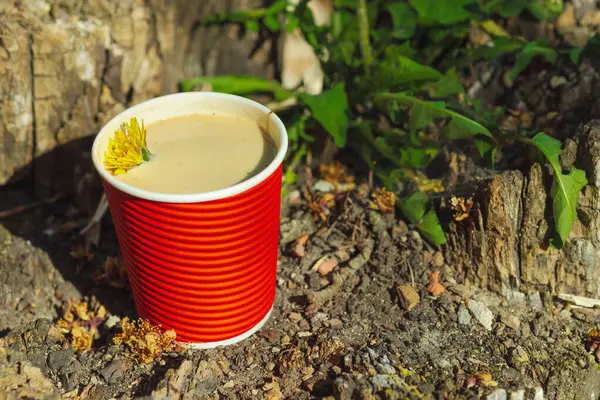 Ekolojik kağıt bardaklarda moda hindiba kahvesi, çiçek açan çayır arka planda. Sağlıklı yaşam tarzına, sürdürülebilir alışkanlıklara ve natürmort yaşam konseptine odaklanın.