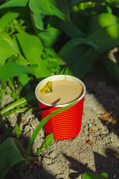 Ekolojik kağıt bardaklarda moda hindiba kahvesi, çiçek açan çayır arka planda. Sağlıklı yaşam tarzına, sürdürülebilir alışkanlıklara ve natürmort yaşam konseptine odaklanın.