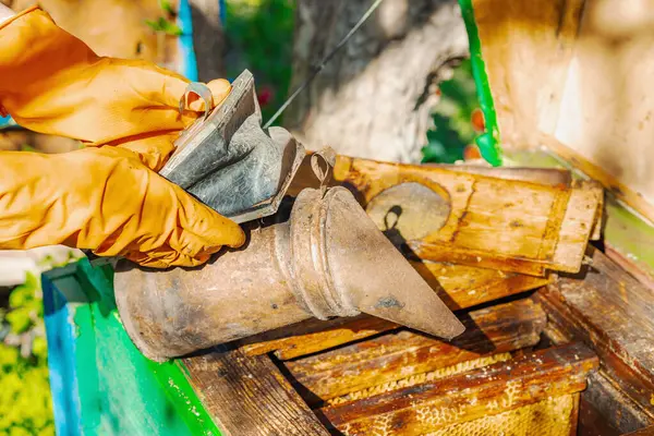 Eldiven takan arıcı geleneksel arı içicisi ve arıcılık araçlarını tutuyor, sürdürülebilir arı yetiştiriciliğini ve arı nüfusunu iklim değişikliği ve küresel ısınmadan koruma çabalarını vurguluyor