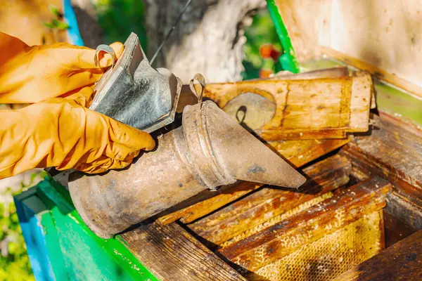Eldiven takan arıcı geleneksel arı içicisi ve arıcılık araçlarını tutuyor, sürdürülebilir arı yetiştiriciliğini ve arı nüfusunu iklim değişikliği ve küresel ısınmadan koruma çabalarını vurguluyor