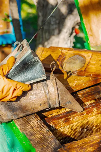 Eldiven takan arıcı geleneksel arı içicisi ve arıcılık araçlarını tutuyor, sürdürülebilir arı yetiştiriciliğini ve arı nüfusunu iklim değişikliği ve küresel ısınmadan koruma çabalarını vurguluyor