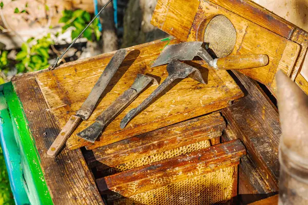 Geleneksel arıcılık araçları, sürdürülebilir arıcılık ve arı popülasyonlarını iklim değişikliği ve küresel ısınmadan koruma çabalarının altı çizili