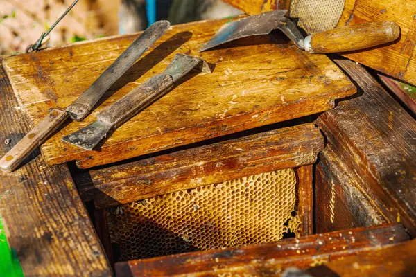 Geleneksel arıcılık araçları, sürdürülebilir arıcılık ve arı popülasyonlarını iklim değişikliği ve küresel ısınmadan koruma çabalarının altı çizili