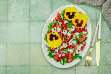 Domatesli taze vegan salatası, roka, keçi peyniri, zeytin ve beyaz tabakta yenilebilir çiçekler. Çevre dostu ve estetik titreşimli sağlıklı yemek konsepti. Moda kiremitleri arka plan, üst görünüm