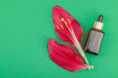 Yeşil arka planda kırmızı çiçek yaprakları olan kehribar cam damlası şişesi. En az doğal deri konsepti. Güzellik rutini, düz yatış, üst manzara.