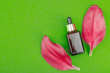 Yeşil arka planda kırmızı çiçek yaprakları olan kehribar cam damlası şişesi. En az doğal deri konsepti. Güzellik rutini, düz yatış, üst manzara.