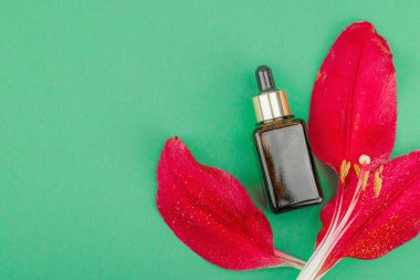 Yeşil arka planda kırmızı çiçek yaprakları olan kehribar cam damlası şişesi. En az doğal deri konsepti. Güzellik rutini, düz yatış, üst manzara.