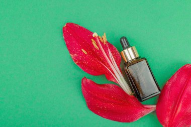 Yeşil arka planda kırmızı çiçek yaprakları olan kehribar cam damlası şişesi. En az doğal deri konsepti. Güzellik rutini, düz yatış, üst manzara.